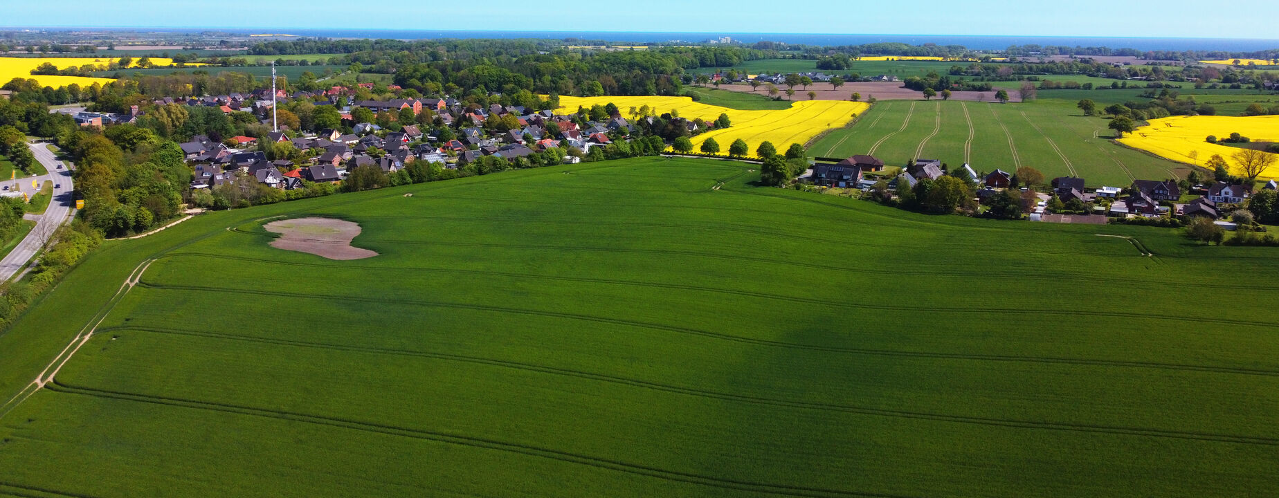 Drohnenbild der Gemeinde mit blauem Himmel und gelben Rapsfeldern