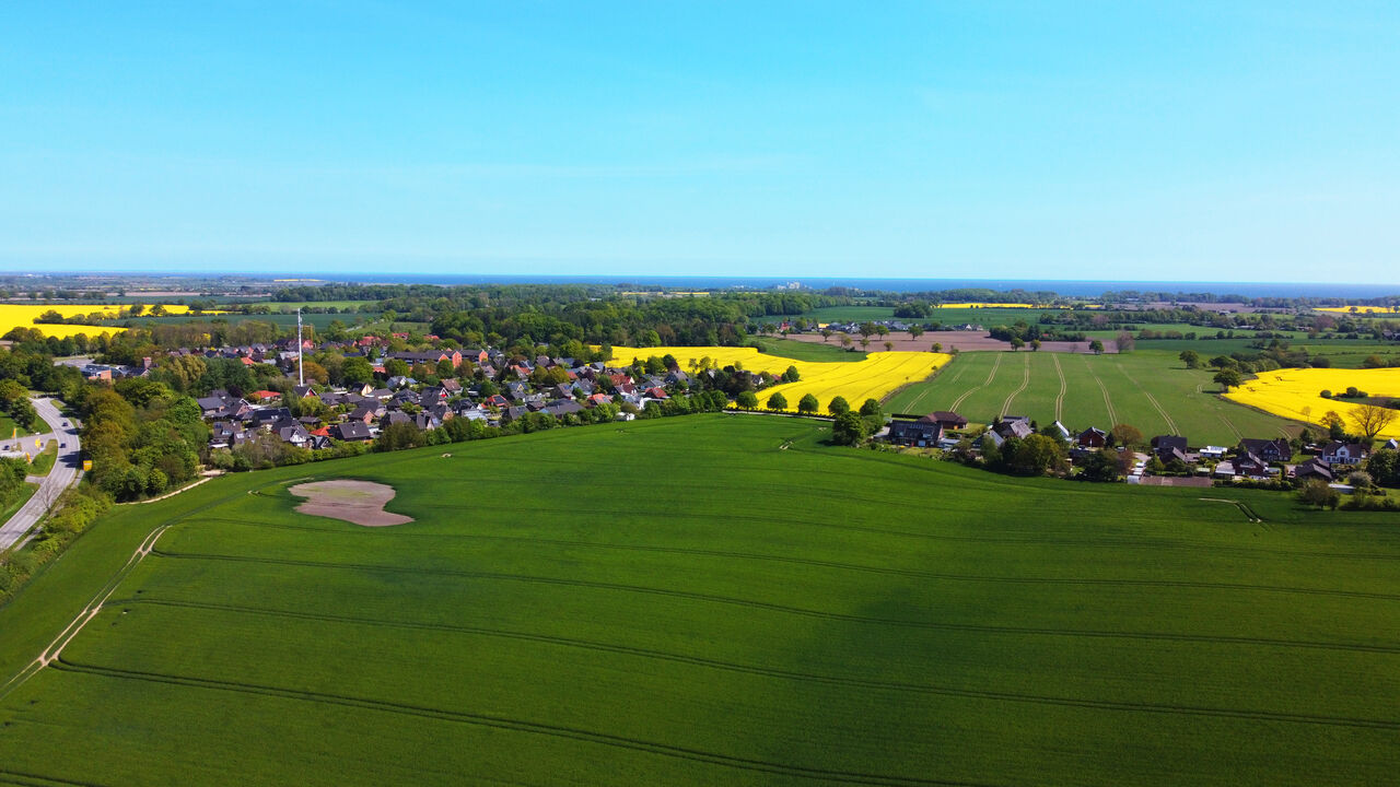 Drohnenbild der Gemeinde mit blauem Himmel und gelben Rapsfeldern