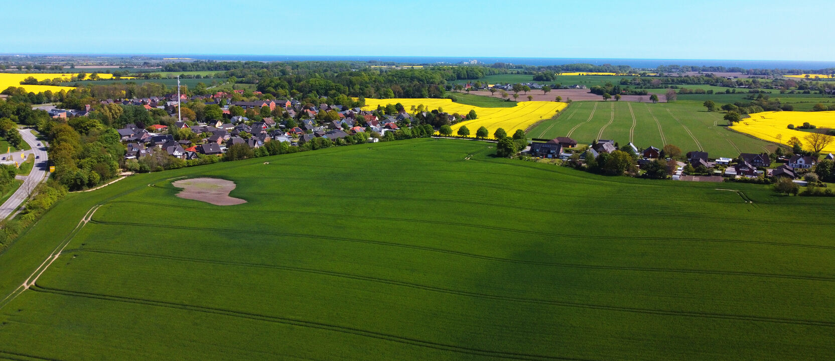 Drohnenbild der Gemeinde mit blauem Himmel und gelben Rapsfeldern